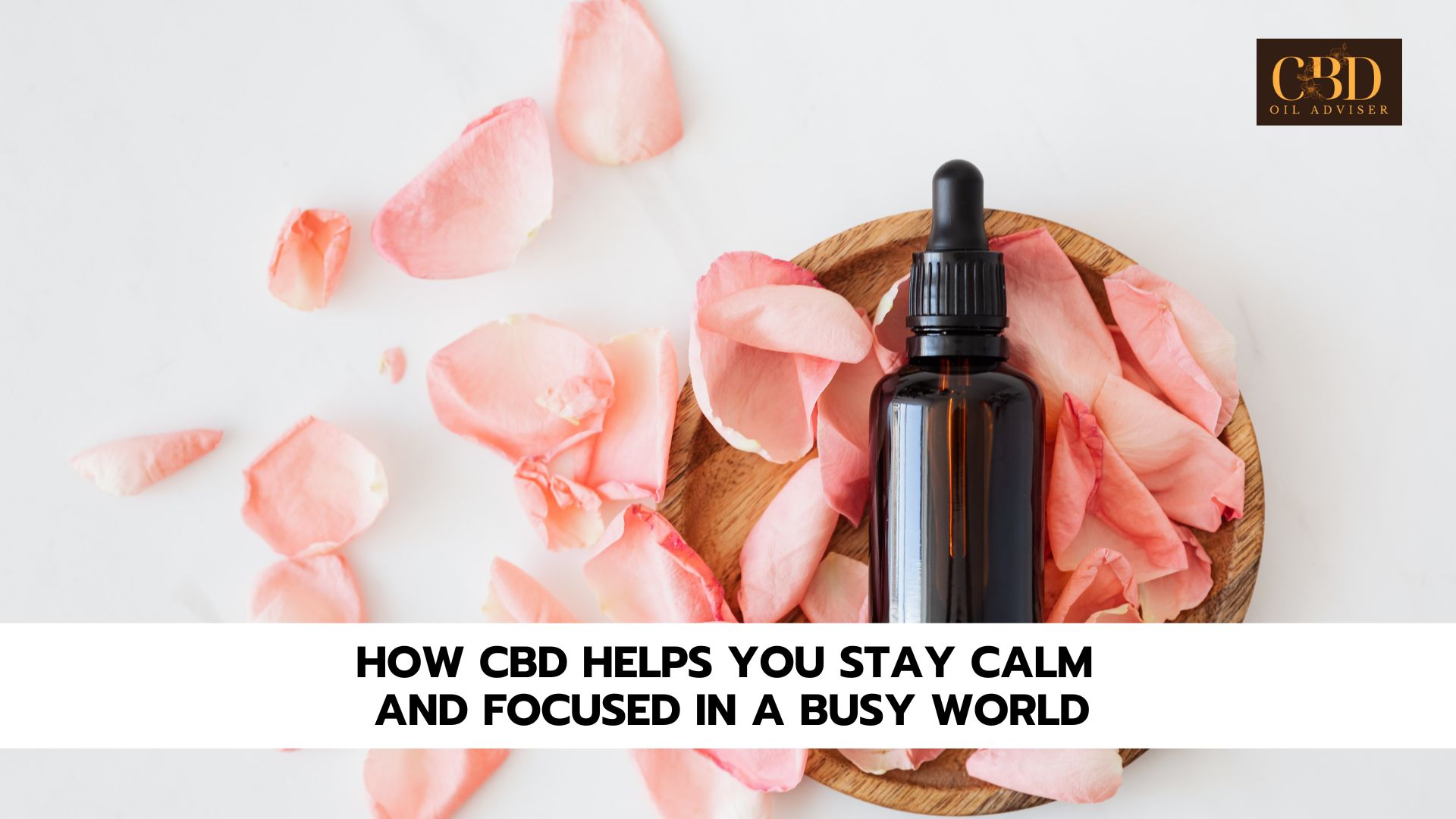 How CBD Helps You Stay Calm and Focused in a Busy World